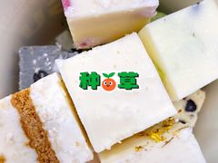 -乐思喵厚切炒酸奶(大悦城店)