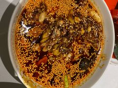 钵钵鸡-眉州东坡(远洋未来广场店)