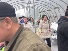 -嘉北郊野公园