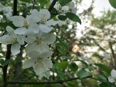 -白鹭湾湿地公园