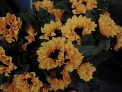 -循礼门鲜花花市(武汉循礼门店)