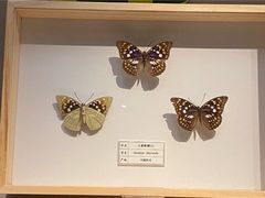 -台州博物馆