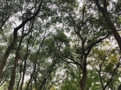 -东湖磨山景区