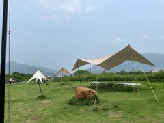 -羚羊峡古栈道森林公园