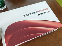 -车艺尚上海龙膜隐形车衣汽车贴膜旗舰店