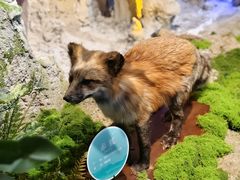 -湖南省地质博物馆