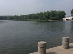 -大兴滨河森林公园