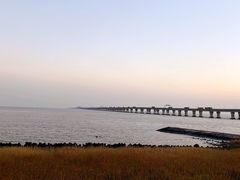 -南汇嘴观海公园