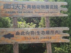 -石老人观光园