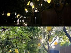 -蓝楹湾度假酒店