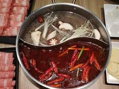 -彤德莱火锅(商圣嘉源店)