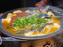 -探鱼·鲜青椒爽麻烤鱼(广州花都来又来店)