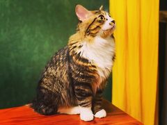 -建辉湖南土菜馆(南大街店)