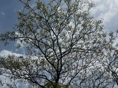 -舒家湾天主教堂