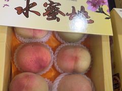 -南汇水蜜桃采摘(大团店)