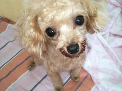 -惠康宠物医院(华能路店)