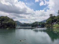 -广州市流溪河国家森林公园