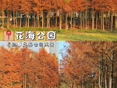-福道