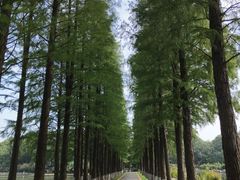 -圩墩遗址公园