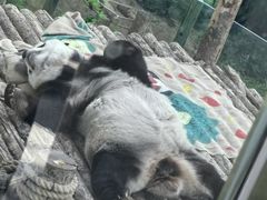 -大连森林动物园