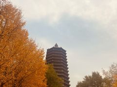 -玲珑塔公园