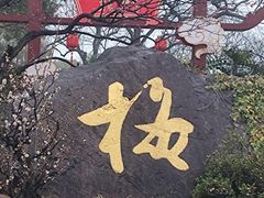 -无锡梅园公园