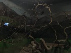 -北京动物园