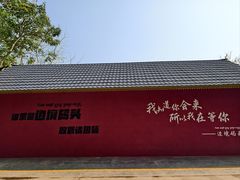 -西双版纳傣族园