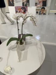 -Yestar 嘉兴艺星医疗美容医院