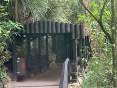 -怀托摩萤火虫洞