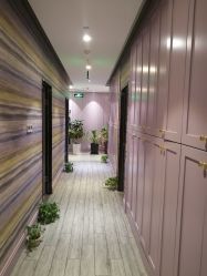 点击看大图 -玛莲朵·海菲秀冰珀科