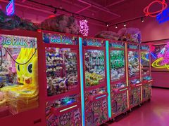 -BIG PINK大粉娃娃机主题馆(圆融星座店)