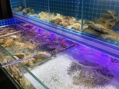 水产区-东厨虾煌(电子街店)