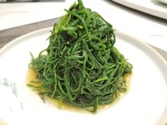炝拌沙葱-飞天大厦清真餐厅