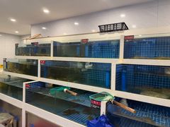 -渔家乐小海鲜(皇姑店)