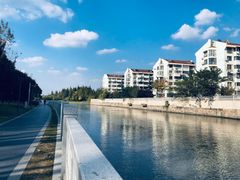 -嘉定紫藤园
