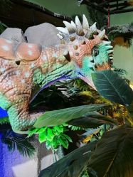 -恐龙探索乐园(磁器口店)