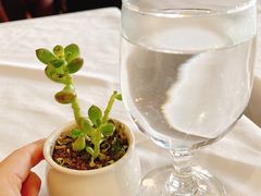 -维兰西餐(万泉河店)