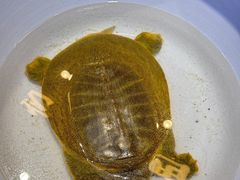 -赣江里•江西菜(望京旺角店)