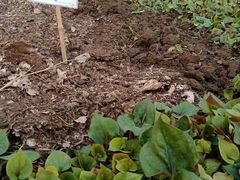 -天毓山庄·餐厅