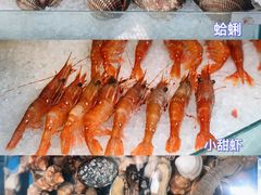 -半岛听涛蒸汽海鲜自助(K11店)