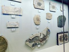 -辽宁古生物博物馆