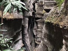 -梭布垭石林景区