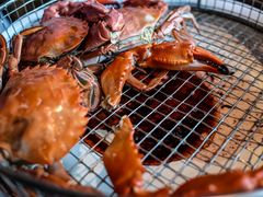 -海味当家·蒸锅海鲜(星海公园店)