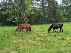 -北极村旅游风景区