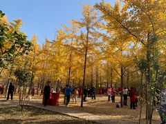 -森林公园(尖草坪区)