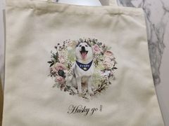 -Husky Go! 哈士奇体验馆·宠物咖啡厅狗咖