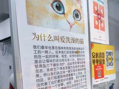 -爱洗澡的猫(天河路店)