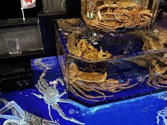 -蟹道乐(道顿堀本店)