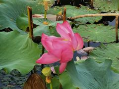 -上海市保健医疗中心